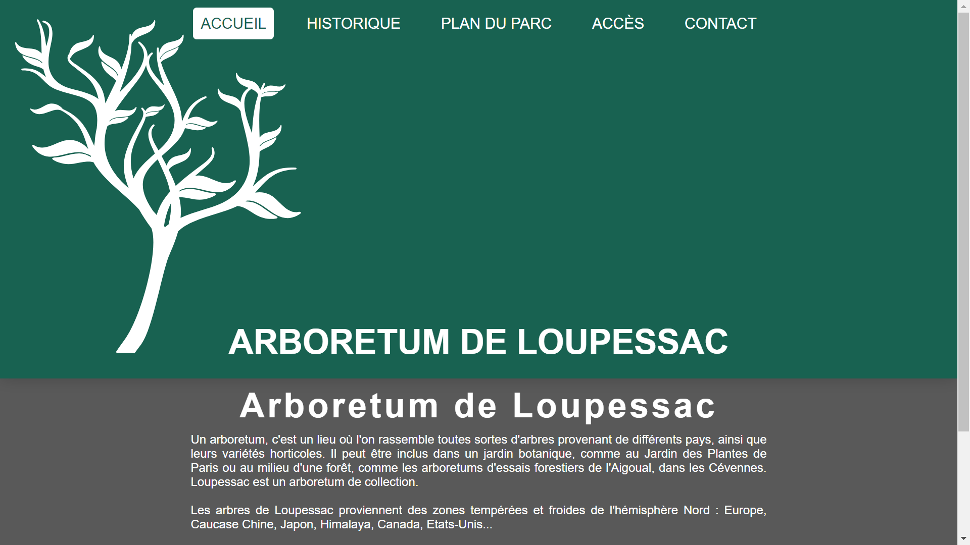 Preview de mon site pour la sequence 5 du R112