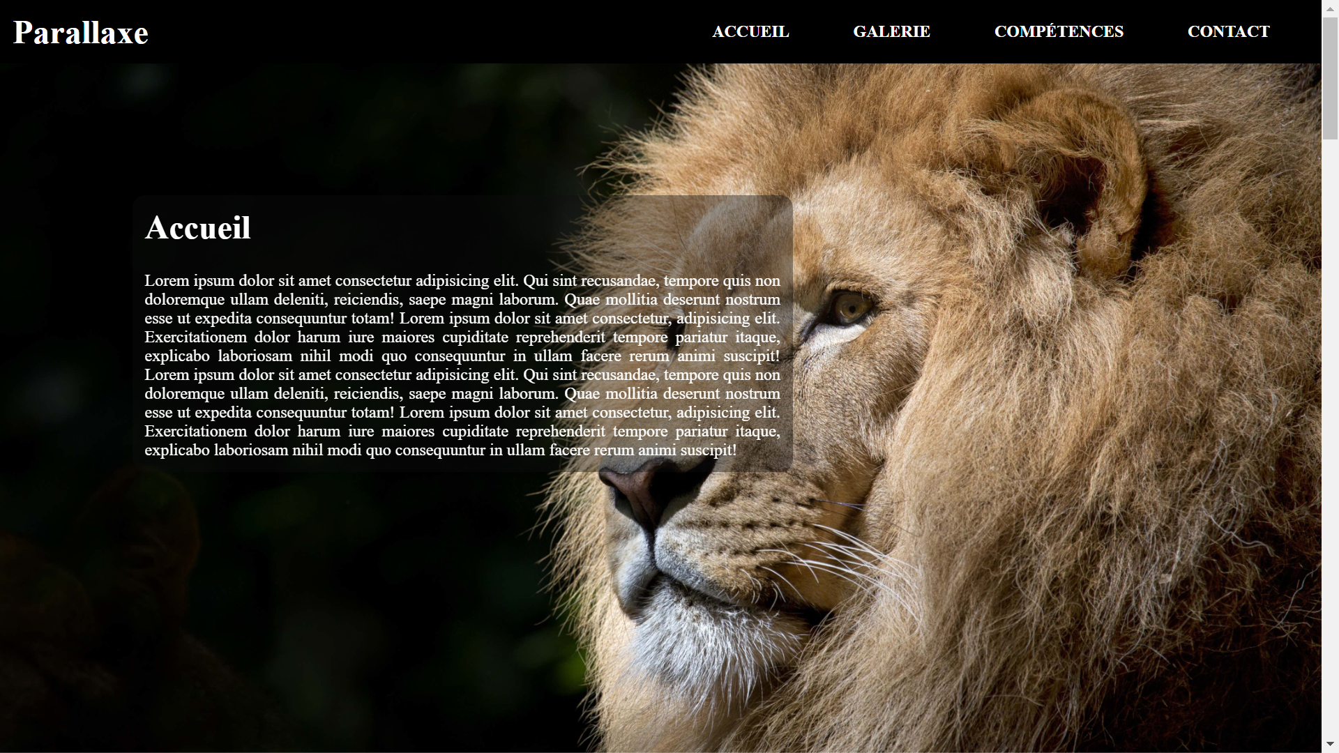 Preview de mon site pour la sequence 5 du R212